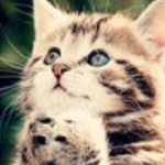 小艾的头像-小艾博客